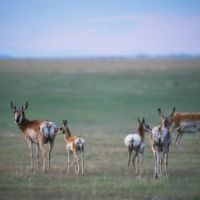 Cliffside Ranch images 3