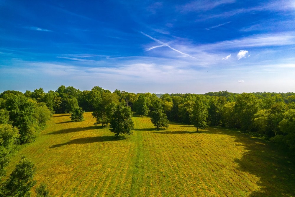 239 - Acre Middle Tennessee Farm featured image