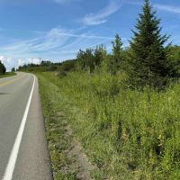4.3 acres Hunting Land and Recreational Land in Friendship NY White Creek Rd Lot 5 images 4