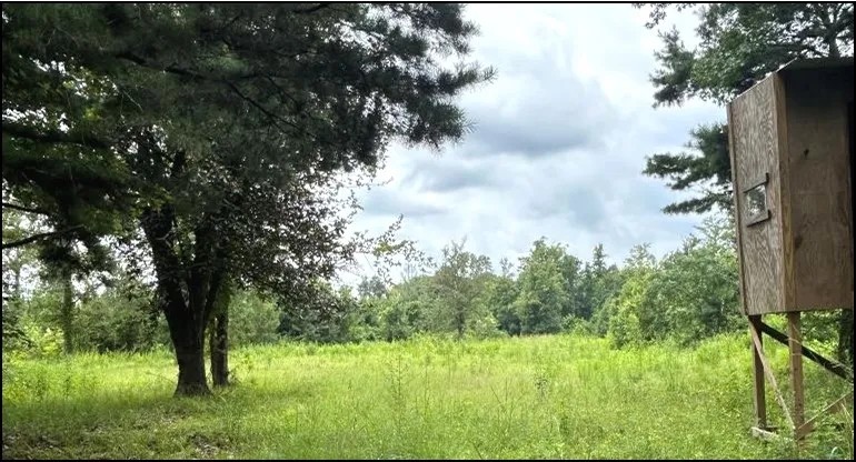 68 Acres in Greene County in Leakesville MS featured image