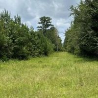 68 Acres in Greene County in Leakesville MS images 2