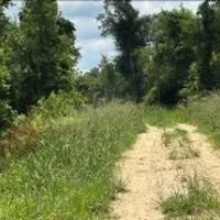 68 Acres in Greene County in Leakesville MS images 3