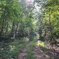 80 Acre Hunting Tract