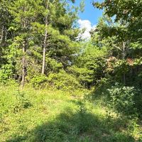 80 Acre Hunting Tract images 5