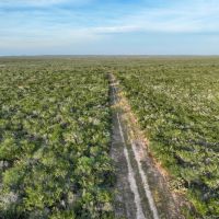 Split Road Ranch images 5