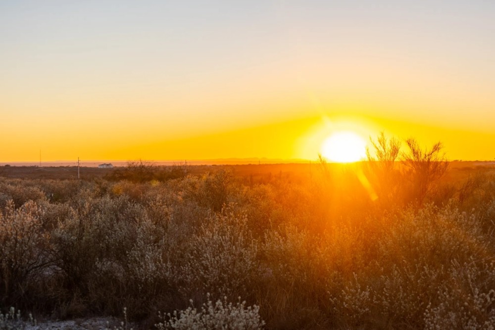 Dissler Ranch featured image