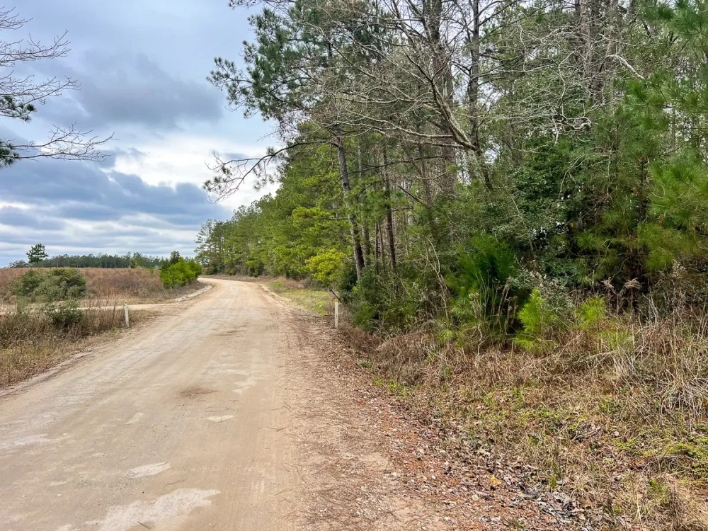 16 Acres Paces Creek T-3A featured image