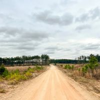 16 Acres Paces Creek T-3A images 5