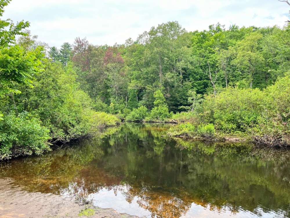10 acre Creekfront Building Lot Pitcairn NY featured image