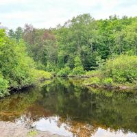 10 acre Creekfront Building Lot Pitcairn NY