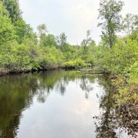 10 acre Creekfront Building Lot Pitcairn NY images 2
