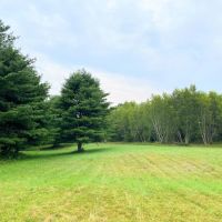 10 acre Creekfront Building Lot Pitcairn NY images 3
