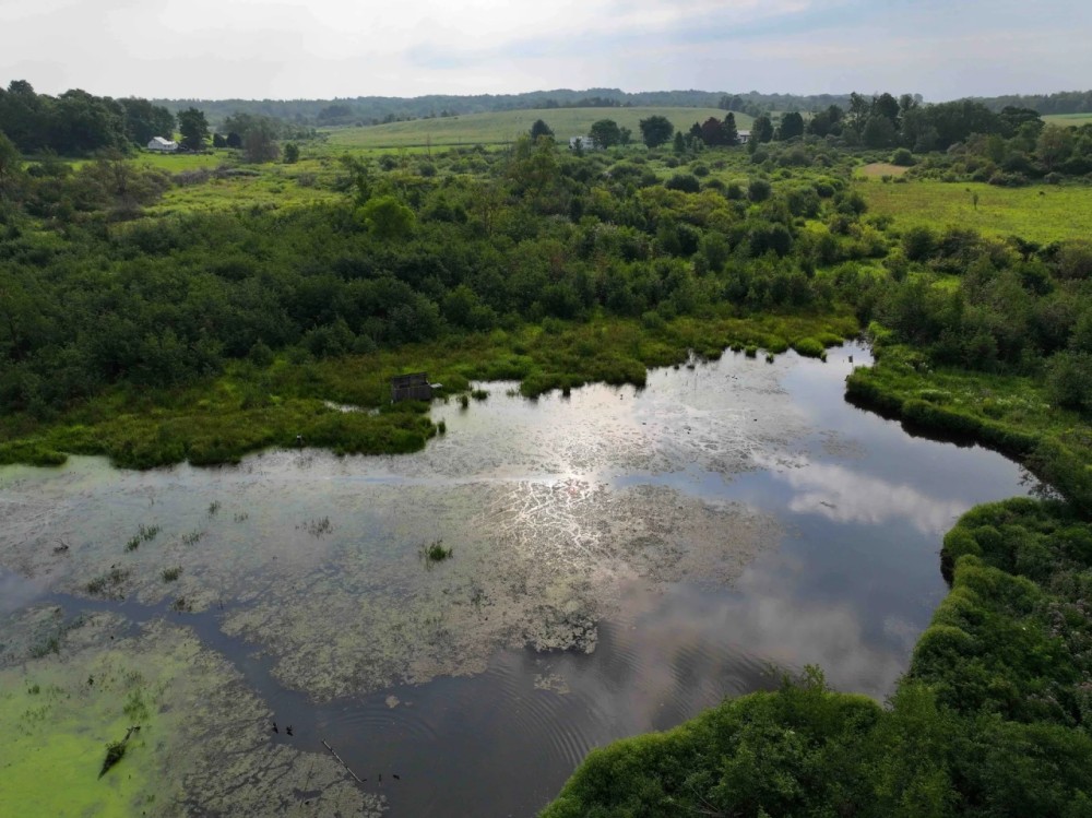21 acres Hunting Land with Pond and Duck Blind in Sherman NY Mina French Creek Rd near Findley Lake featured image