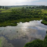 21 acres Hunting Land with Pond and Duck Blind in Sherman NY Mina French Creek Rd near Findley Lake