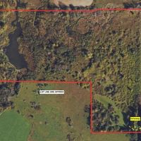 21 acres Hunting Land with Pond and Duck Blind in Sherman NY Mina French Creek Rd near Findley Lake images 2