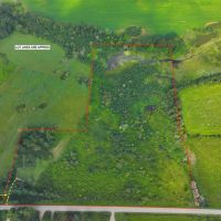 21 acres Hunting Land with Pond and Duck Blind in Sherman NY Mina French Creek Rd near Findley Lake images 3