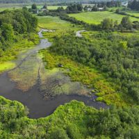 21 acres Hunting Land with Pond and Duck Blind in Sherman NY Mina French Creek Rd near Findley Lake images 4