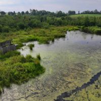 21 acres Hunting Land with Pond and Duck Blind in Sherman NY Mina French Creek Rd near Findley Lake images 5