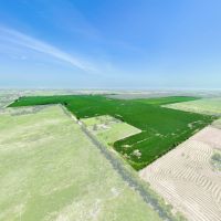 Row Crop Farm For Sale Lamar County TX