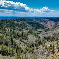 Schwenke Ranch - Working Cattle Operation Hunting images 3