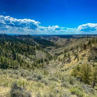 Schwenke Ranch - Working Cattle Operation Hunting images 5