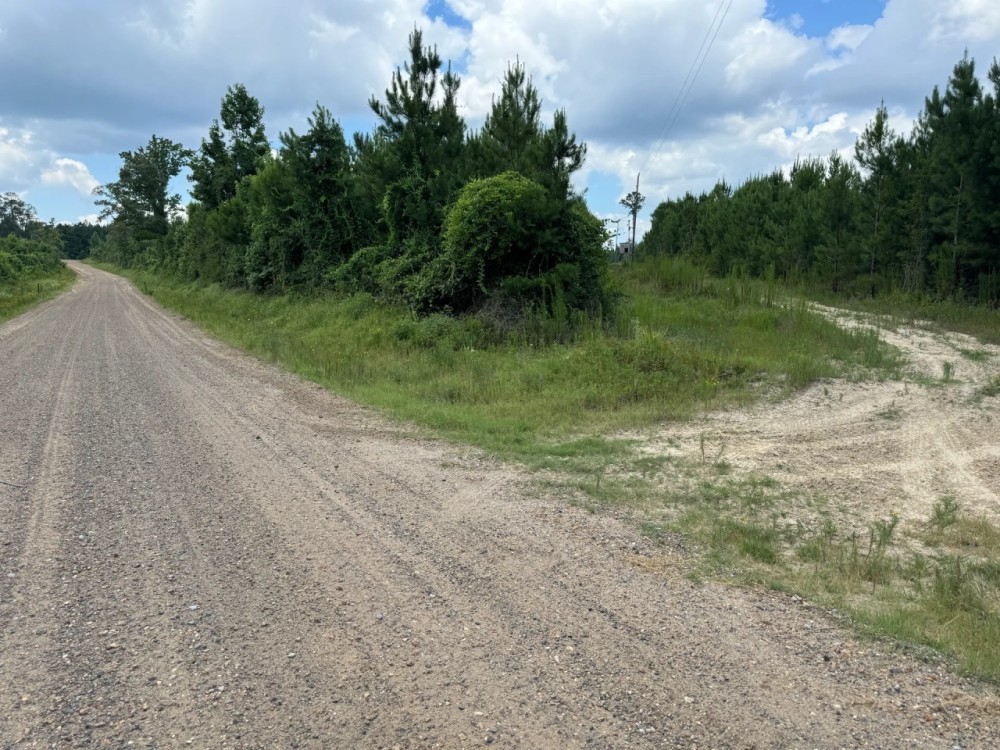 LA - Jackson Ouachita 40 acres - featured image