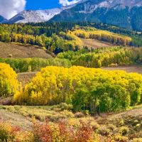 Yalgo Ranch images 4
