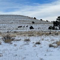 Harold G. Vickerman Ranch images 5