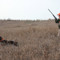 Verona State WMA - 7,695 acres Turkey hunting property in Huron, MI