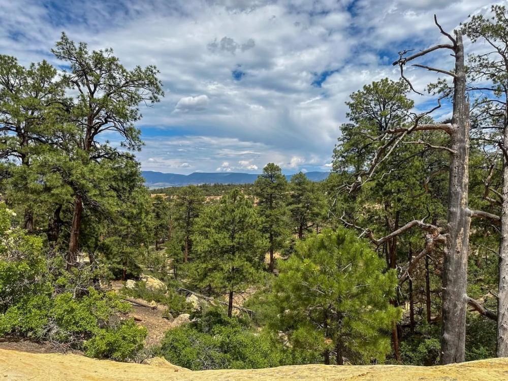 Mesa Ledge 48 ac featured image