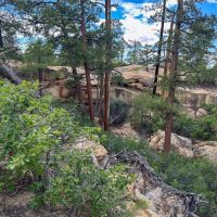 Mesa Ledge 48 ac images 2
