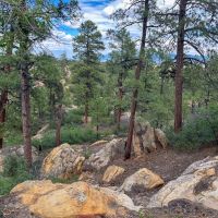 Mesa Ledge 48 ac images 4