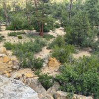 Mesa Ledge 48 ac images 5