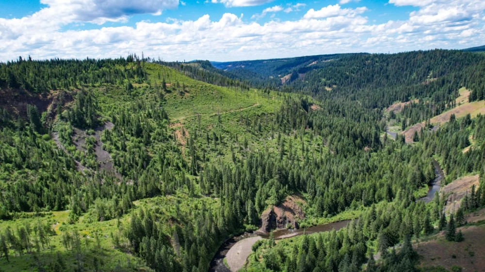 Lolo Creek Ranch featured image