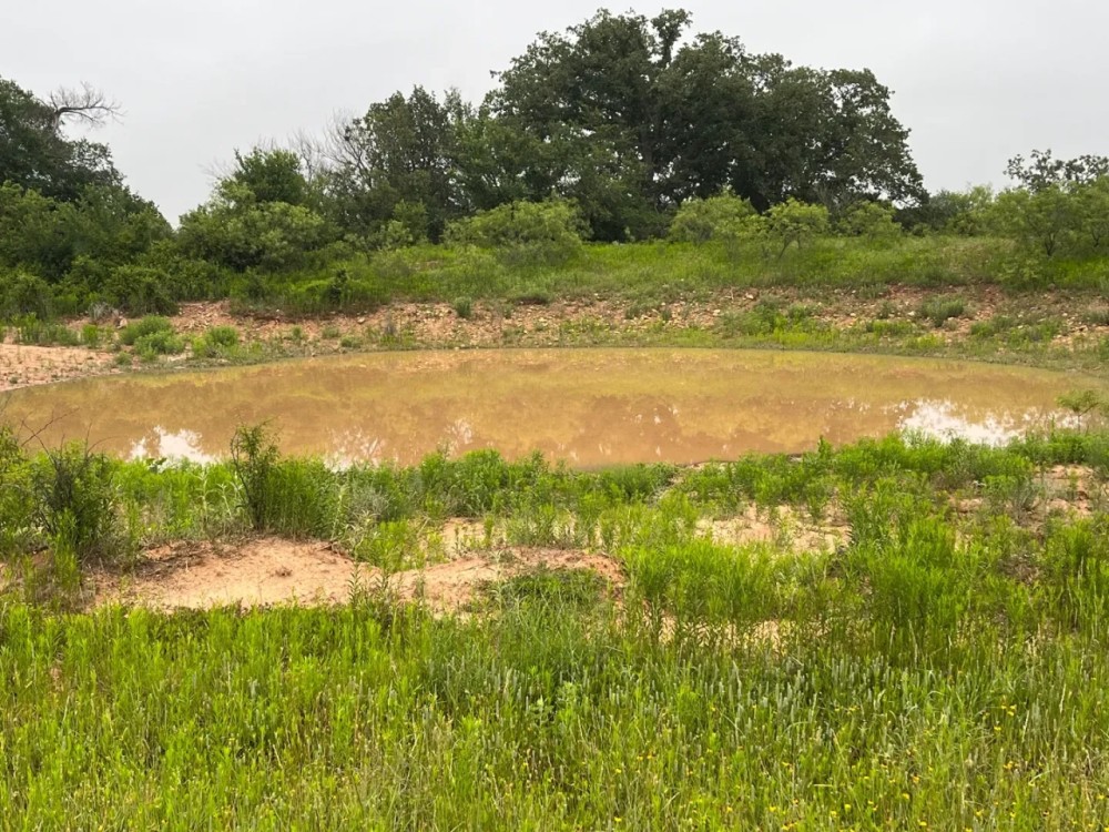 140 -Acres Co Road 137 Cisco TX 76437 featured image