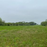 140 -Acres Co Road 137 Cisco TX 76437 images 2