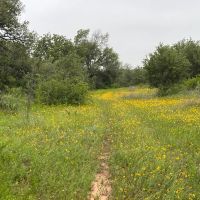 140 -Acres Co Road 137 Cisco TX 76437 images 5