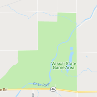Vassar State WMA - 3,379 acres Turkey hunting tract in Tuscola, MI images 4