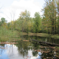 Vassar State WMA - 3,379 acres Turkey hunting tract in Tuscola, MI images 2