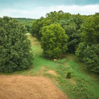 Knobby Creek Lane Edwards MO. images 2