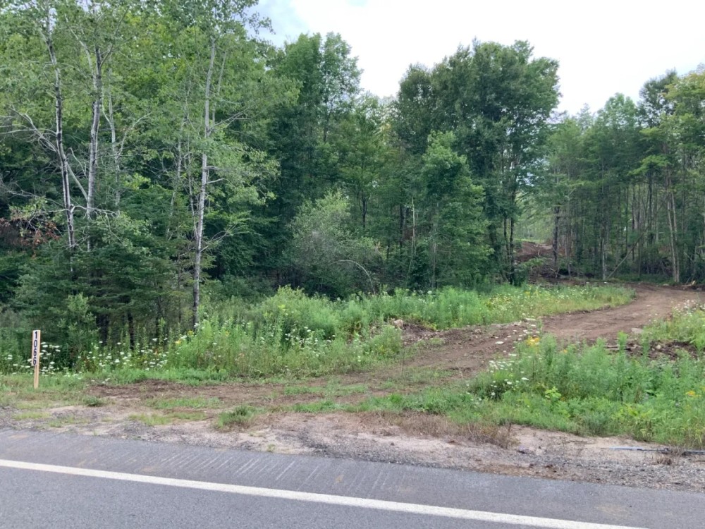 84 acres Adirondack Hunting Land Stratford NY featured image