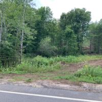 84 acres Adirondack Hunting Land Stratford NY