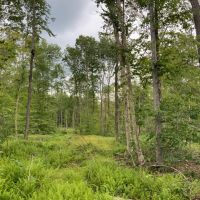 84 acres Adirondack Hunting Land Stratford NY images 2