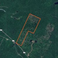 84 acres Adirondack Hunting Land Stratford NY images 4