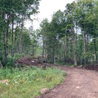 84 acres Adirondack Hunting Land Stratford NY images 5
