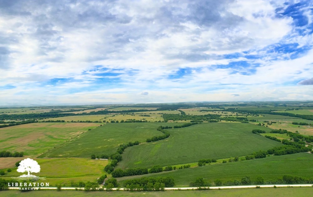 HILLSBORO Tract 1 12 Acres Only 15K Down featured image