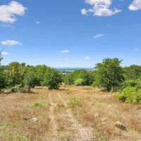 172 -Acres Armstrong Ln Bryson TX 76427 images 3