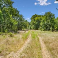 172 -Acres Armstrong Ln Bryson TX 76427 images 5