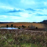 257 ACRE FARM WITH PANORAMIC VIEWS IN CRAB ORCHARD TENNESSEE images 2