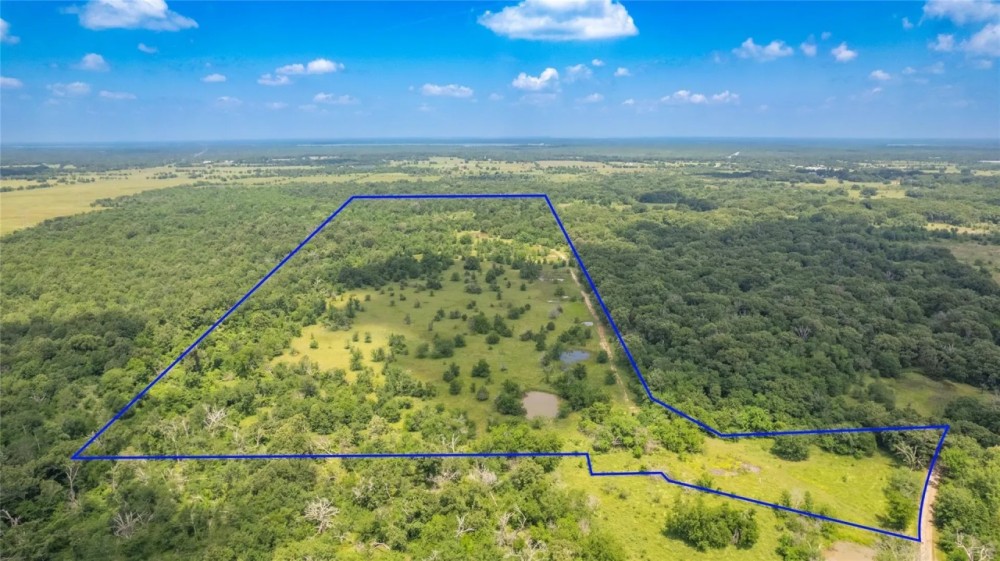 Beautiful partially wooded 50 acres with Ag-Exemption and 2 ponds featured image